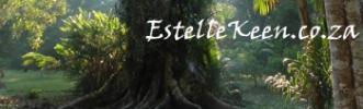 Estelle Keen - Another useful website by Kennedy COnsulting